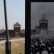 Twitter-Benutzerbild von Auschwitz Memorial